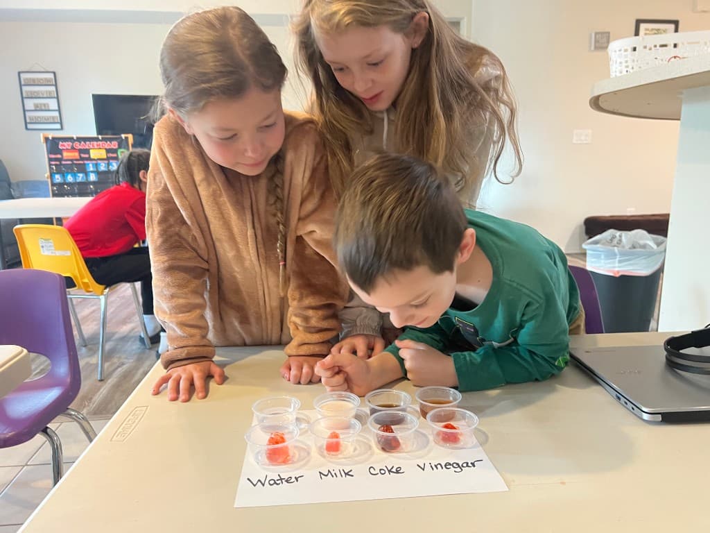 Community Schoolhouse students observing a hands-on science experiment.